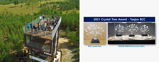 세계 사막화방지의날 기념 가상 토론회, 2021 Crystal Tree Award 수상 이미지