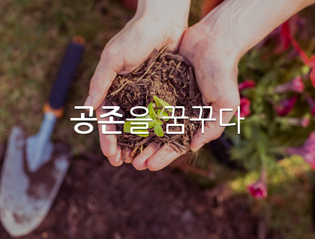 비주얼 배너
