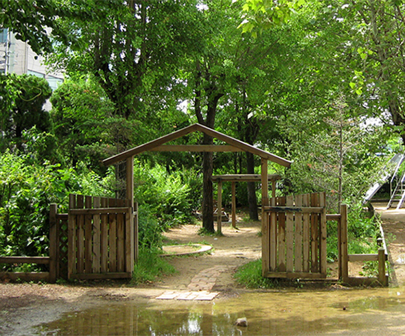 학교 숲 사진02