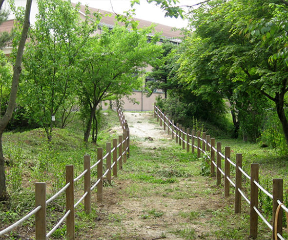 학교 숲 사진03