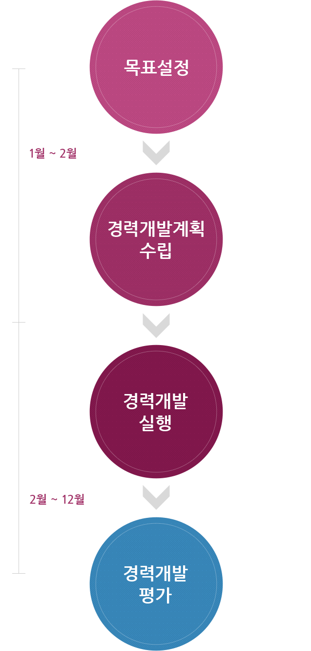 경력개발 프로그램 이미지