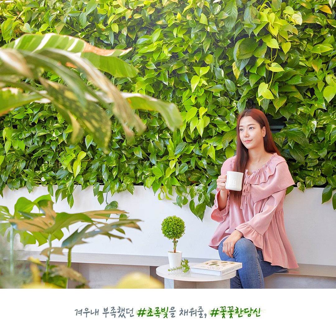 유한킴벌리>SNS>뉴스 2020년 2월 인숲타그램 동탄 꽃꽃한 당신