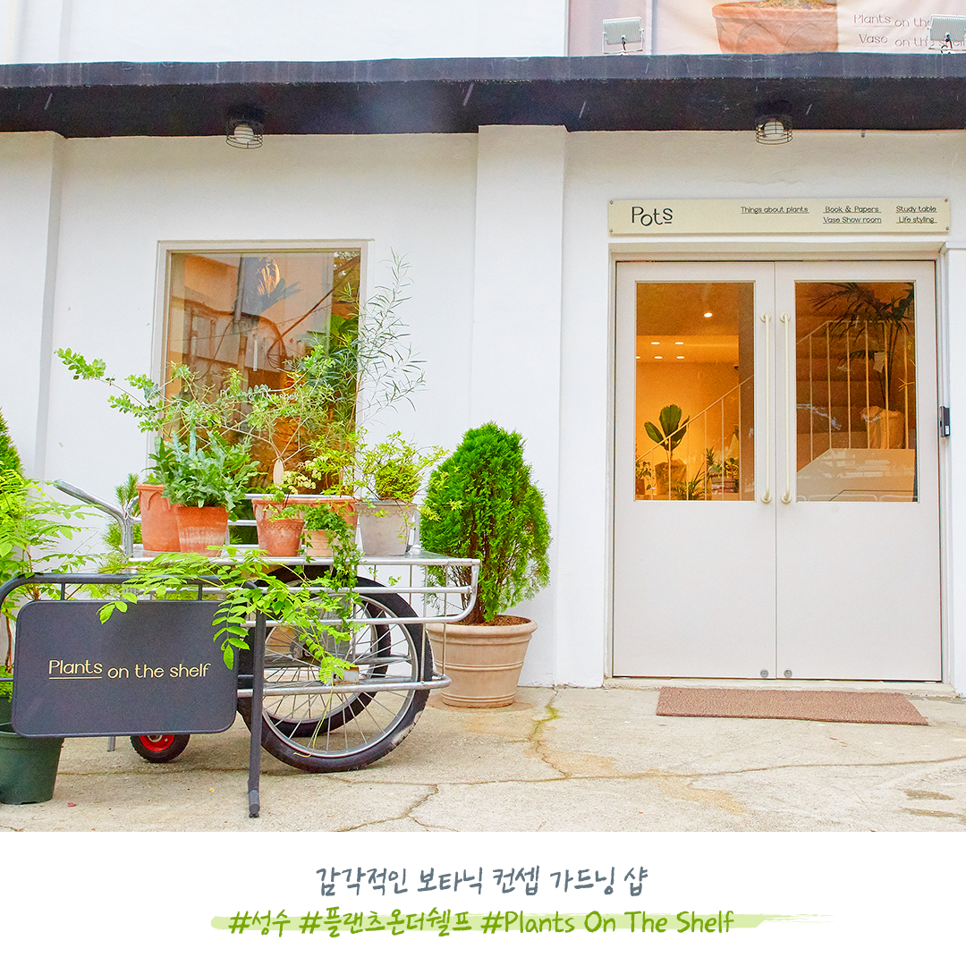 유한킴벌리>SNS>뉴스 우리동네숲세권 서울 플랜츠온더쉘프