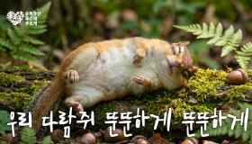 유한킴벌리 ‘우리강산 푸르게 푸르게’ 콘텐츠 150만 뷰 화제