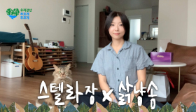 화제의 ‘삵냥이 송’ 스텔라장 콜라보 버전 공개