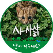 우리강산 푸르게 푸르게 