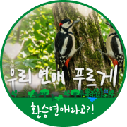 우푸푸 캠페인