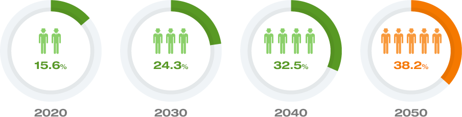 2050년까지의 고령화 비율 그래프 - 2020년 15.6% / 2030년 24.3% / 2040년 32.5% / 2050년 38.2%